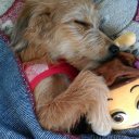 nesrin adlı kullanıcı